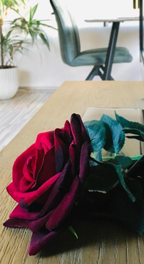 شقة Haus Rose ريبنيتس-دامغارتن المظهر الخارجي الصورة